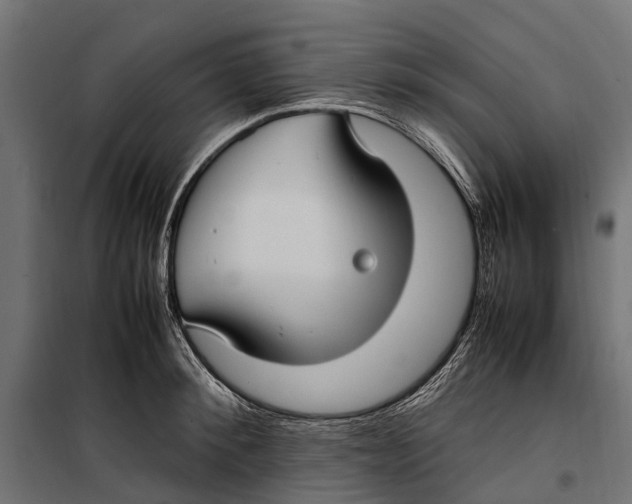 X0000099980900200806201423