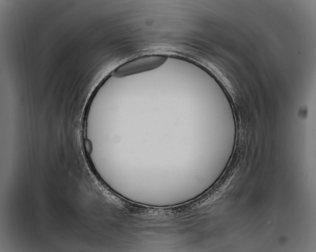 X0000099980901200806201423