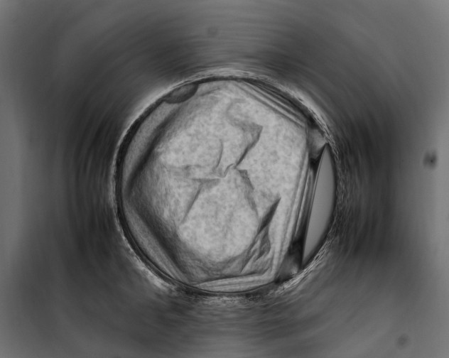 X0000099980902200806201423