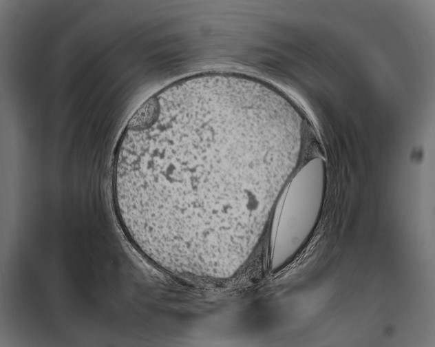 X0000099980903200806201423