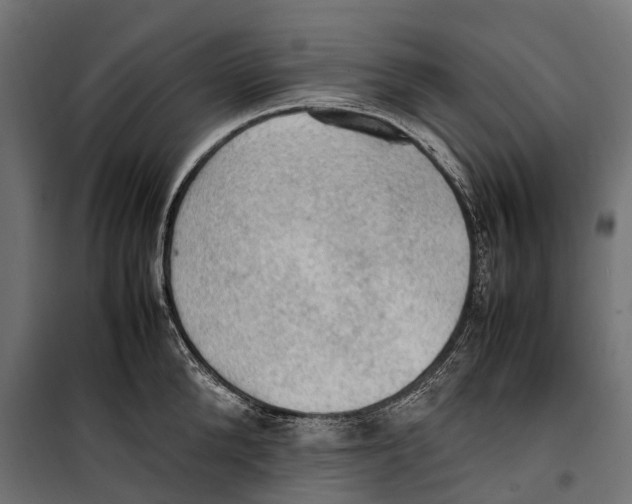 X0000099980904200806201423