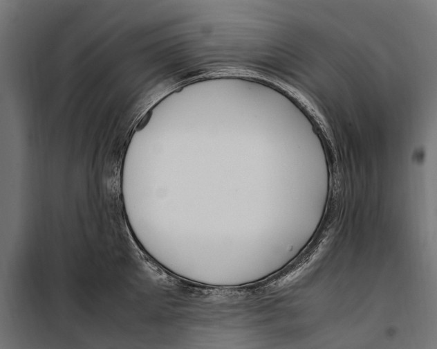 X0000099980905200806201423