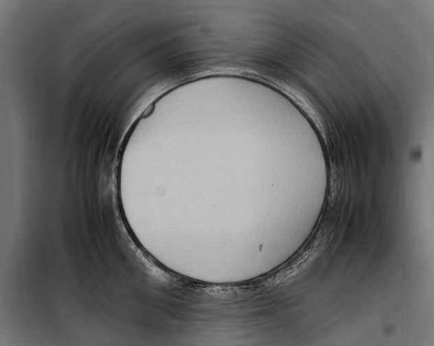 X0000099980906200806201423