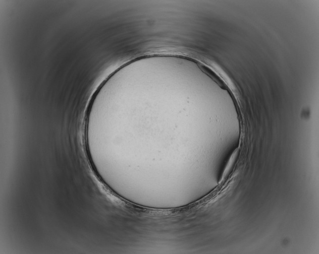 X0000099980909200806201423