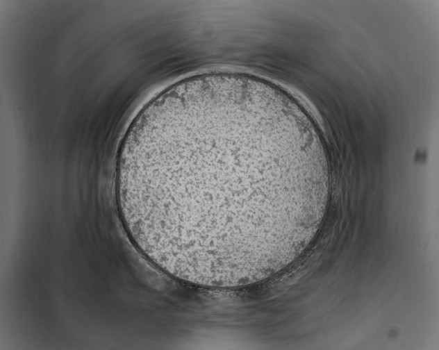 X0000099980911200806201423