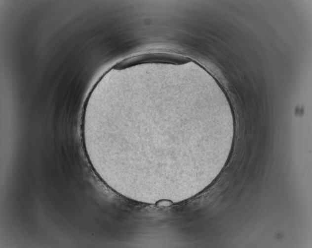 X0000099980912200806201422