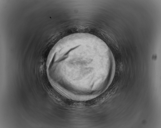 X0000099980914200806201422