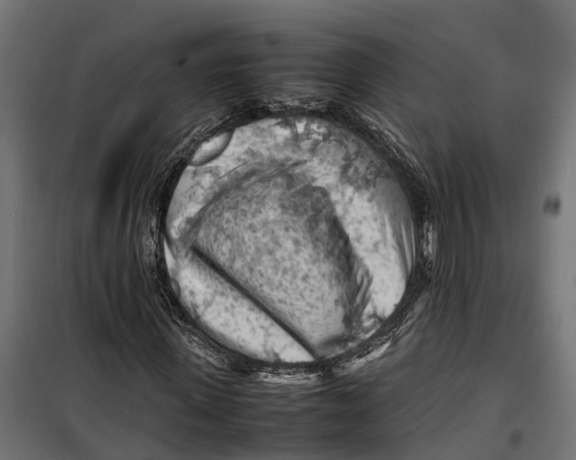 X0000099980915200806201422