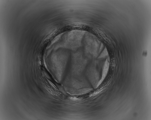 X0000099980916200806201422