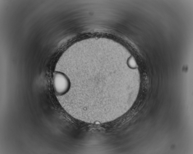 X0000099980918200806201422