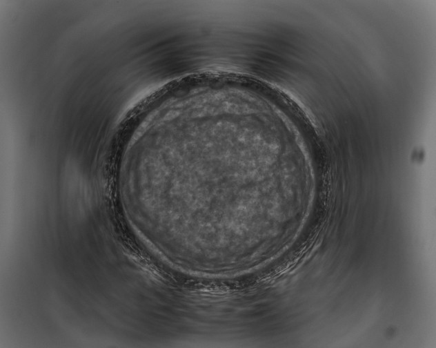 X0000099980919200806201422