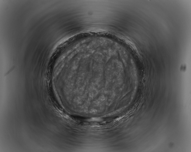 X0000099980920200806201422