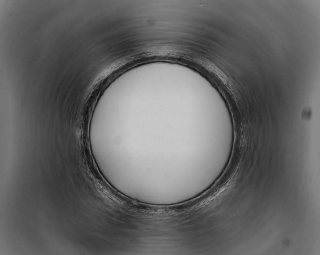 X0000099980922200806201422