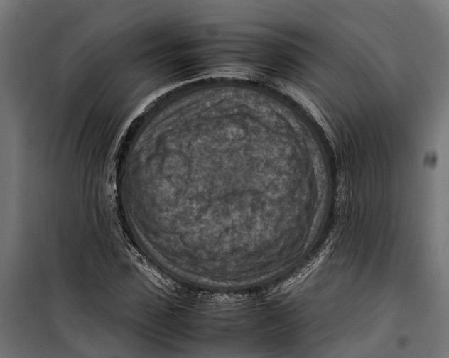 X0000099980923200806201422