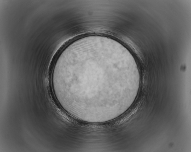 X0000099980924200806201422