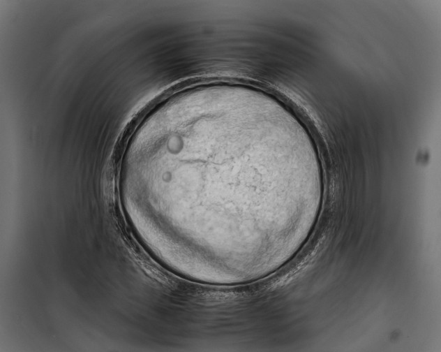 X0000099980925200806201422