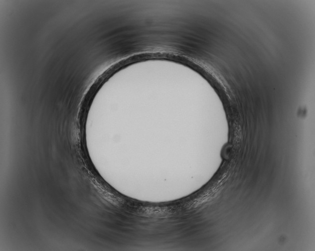 X0000099980927200806201422