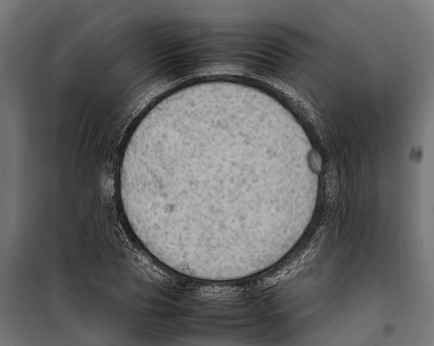 X0000099980929200806201422