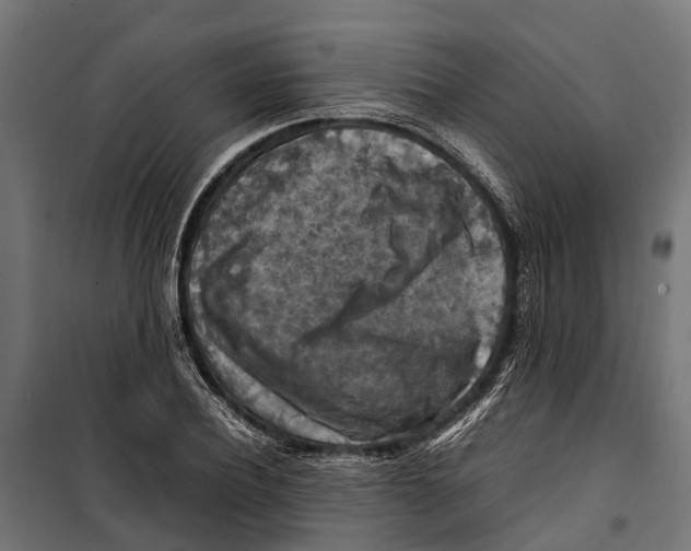 X0000099980932200806201422