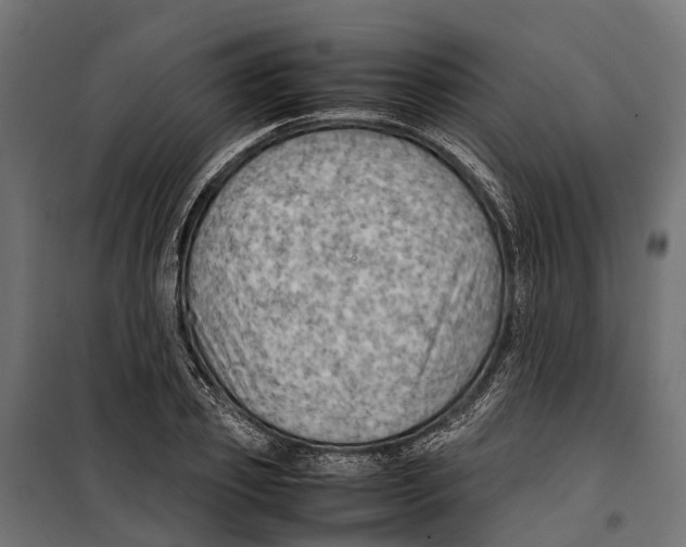 X0000099980933200806201422