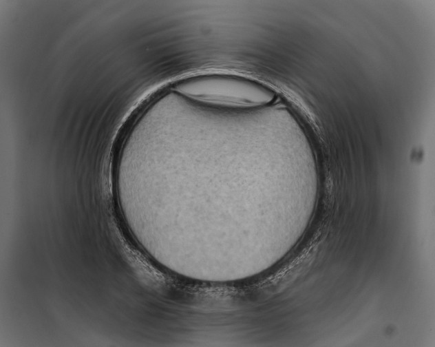 X0000099980934200806201422