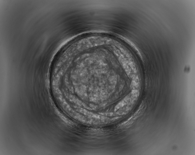 X0000099980935200806201422