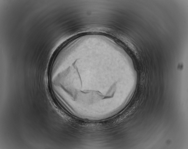 X0000099980936200806201422