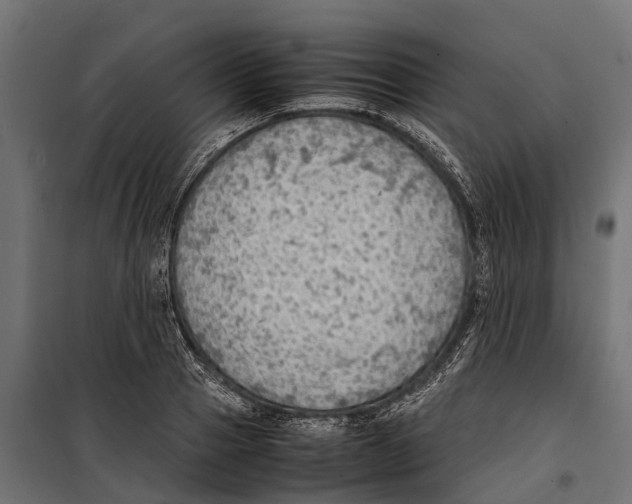 X0000099980937200806201422