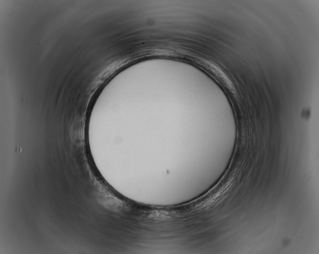 X0000099980938200806201422