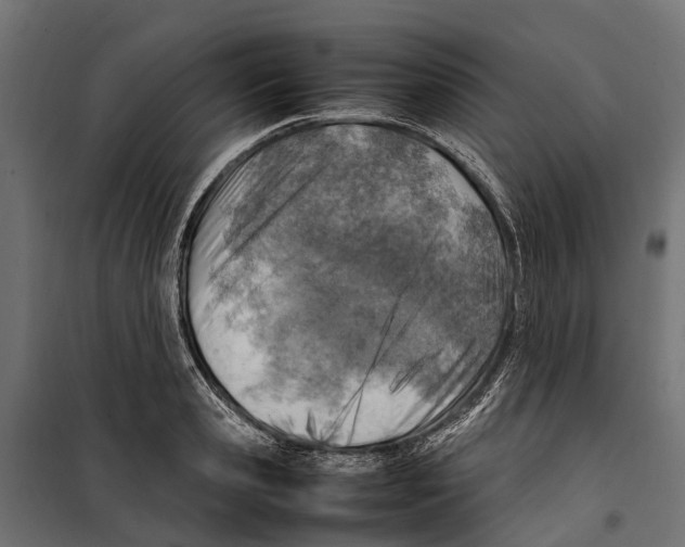 X0000099980941200806201422