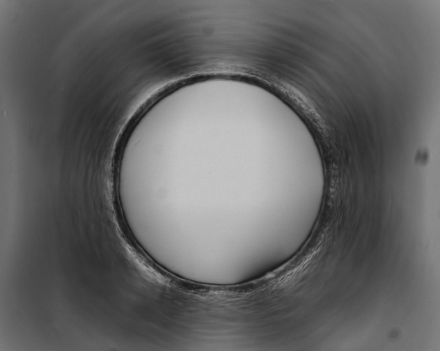 X0000099980942200806201422