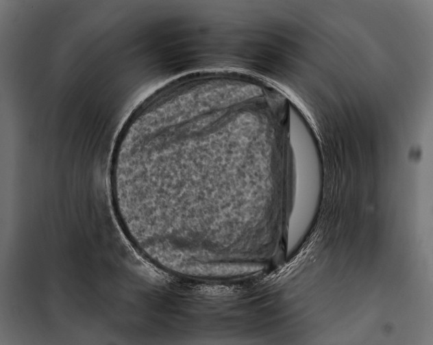 X0000099980943200806201422