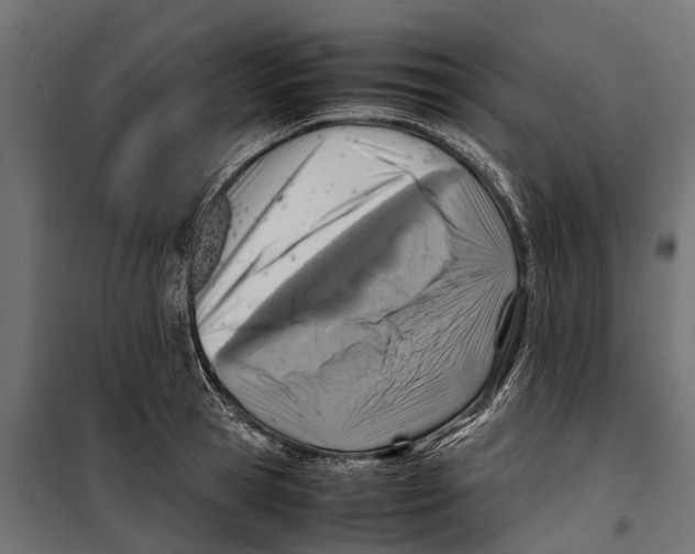 X0000099980945200806201422