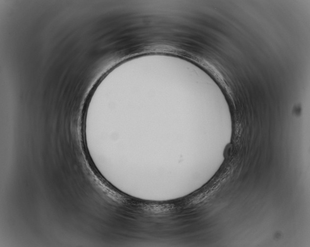 X0000099980947200806201422