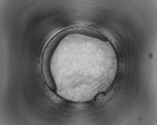 X0000099980948200806201422