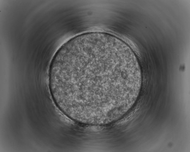 X0000099980950200806201422