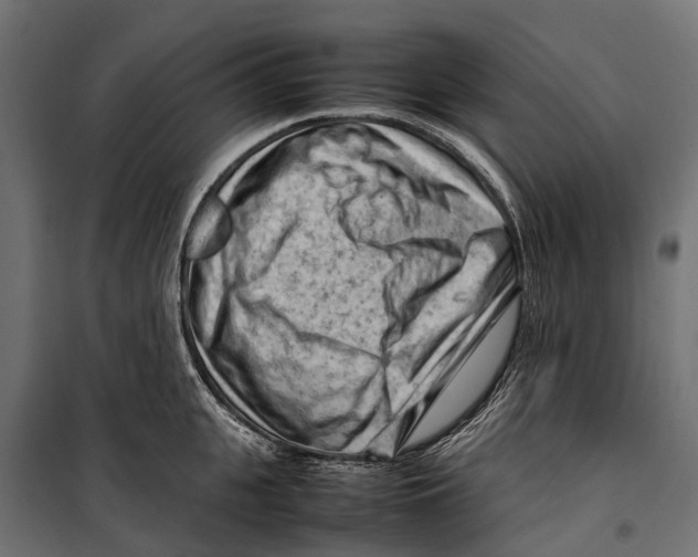 X0000099980951200806201422