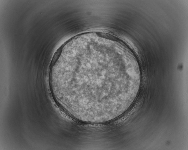 X0000099980952200806201422