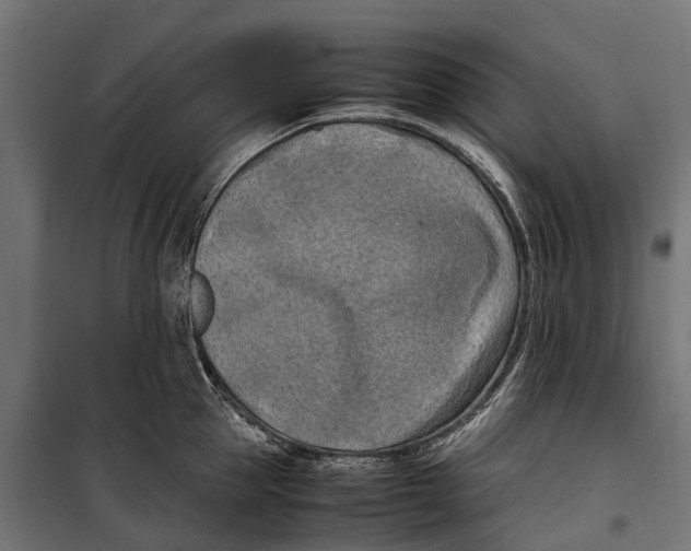 X0000099980953200806201422