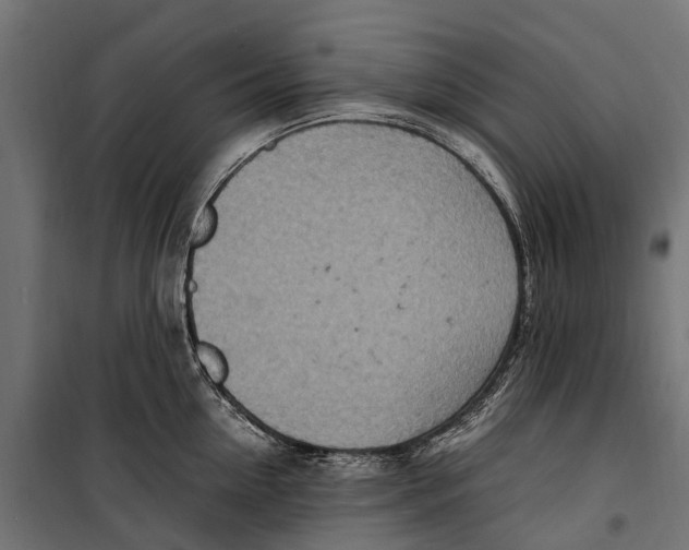 X0000099980954200806201422