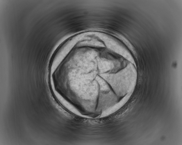 X0000099980955200806201422