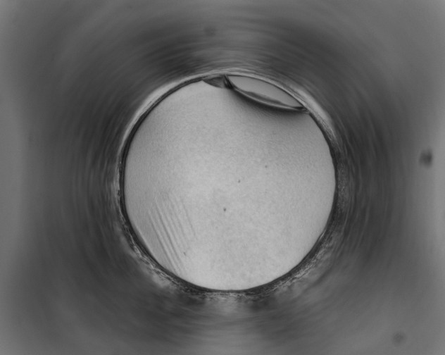 X0000099980956200806201422