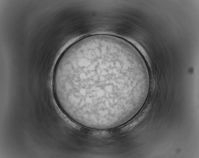 X0000099980957200806201422