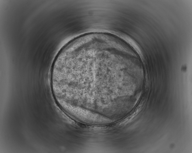 X0000099980958200806201422