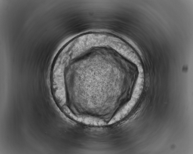 X0000099980959200806201422