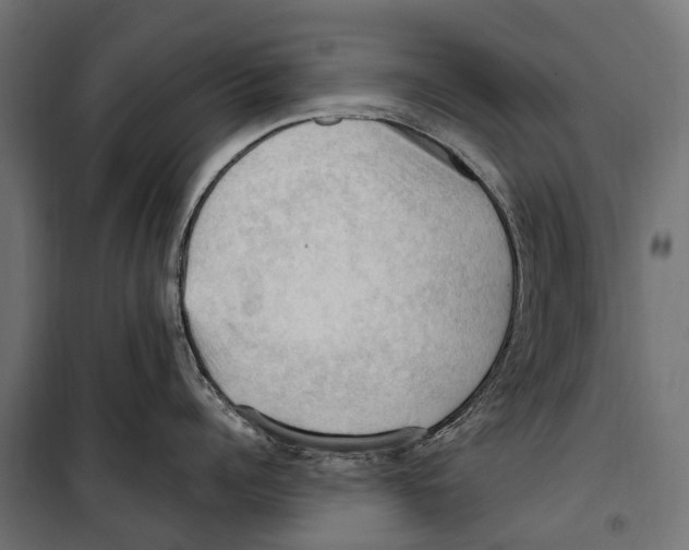 X0000099980960200806201422