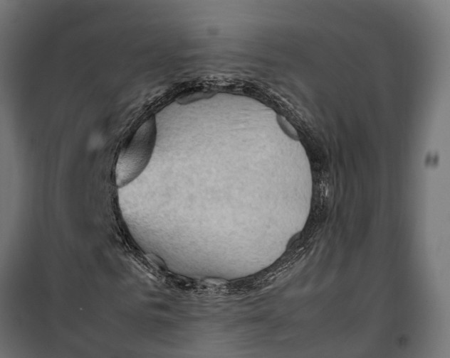 X0000099980961200806201422