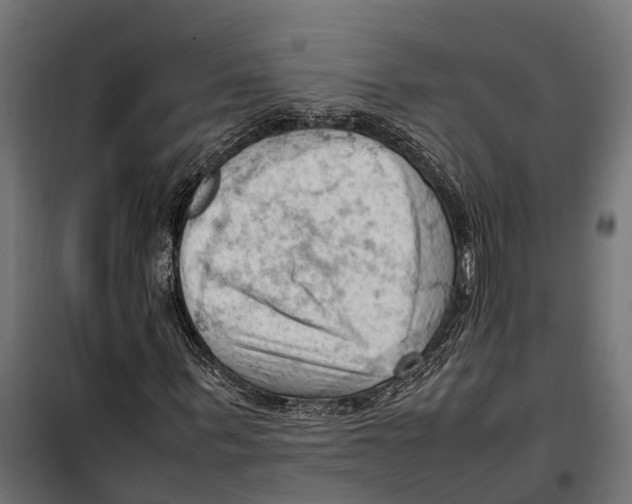 X0000099980963200806201422