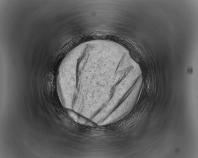 X0000099980964200806201422