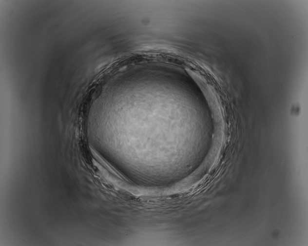 X0000099980965200806201422